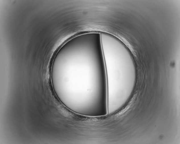 X0000099550885200805160724