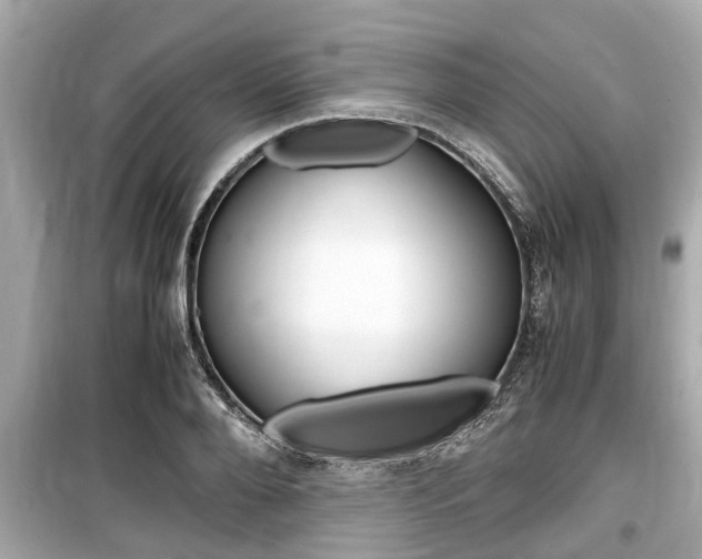 X0000099550888200805160723