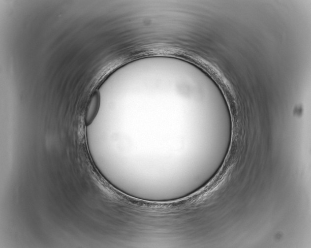 X0000099550889200805160723