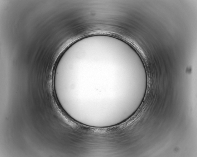 X0000099550890200805160723