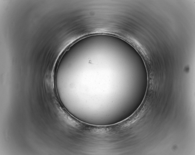 X0000099550892200805160723