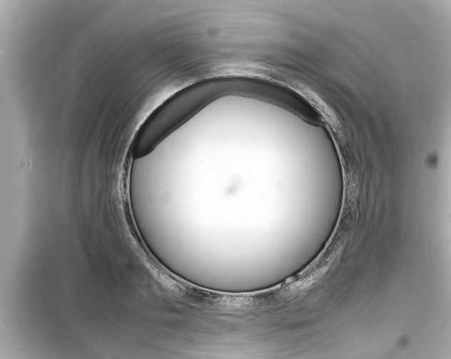 X0000099550893200805160723