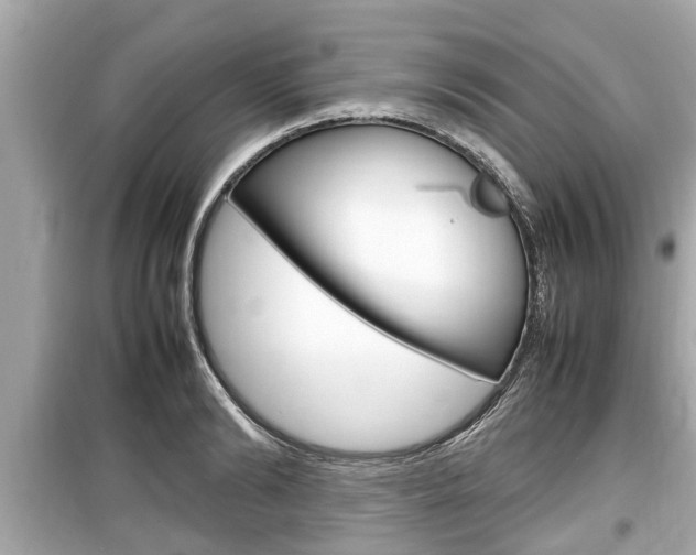 X0000099550894200805160723
