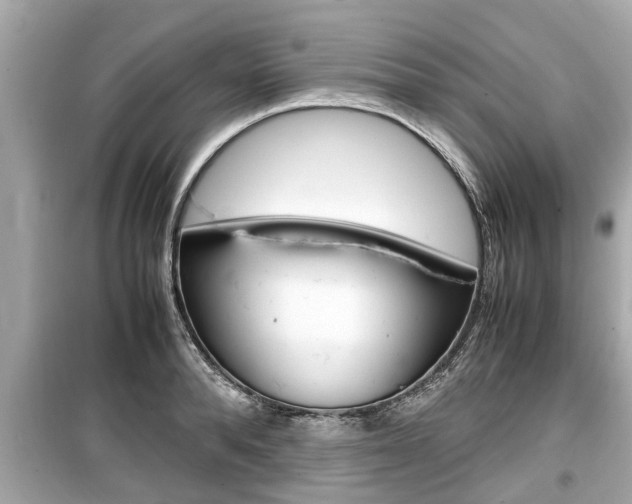 X0000099550896200805160723