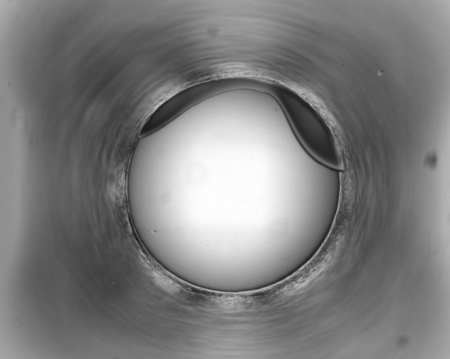 X0000099550897200805160723