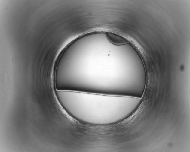 X0000099550902200805160723