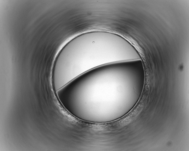 X0000099550904200805160723