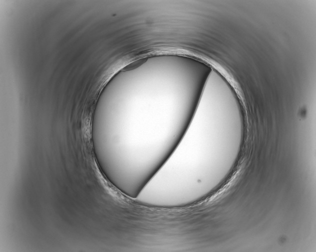 X0000099550905200805160723