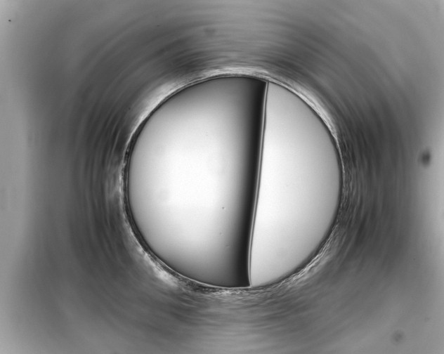 X0000099550906200805160723