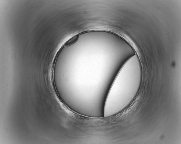X0000099550909200805160723