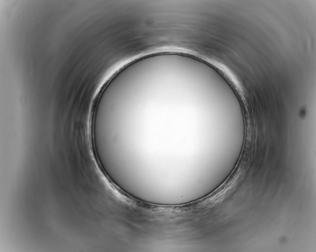 X0000099550910200805160723