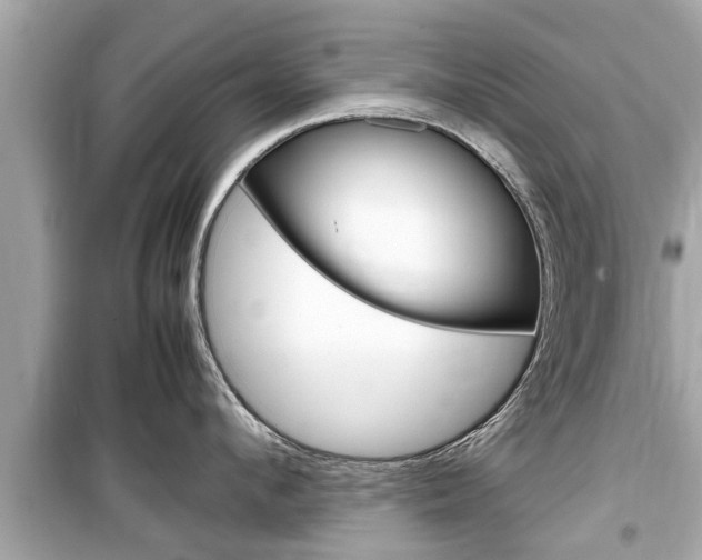 X0000099550912200805160723