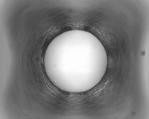 X0000099550913200805160722