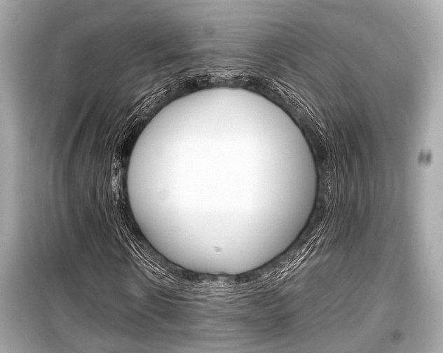 X0000099550914200805160722