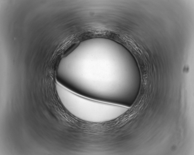 X0000099550916200805160723