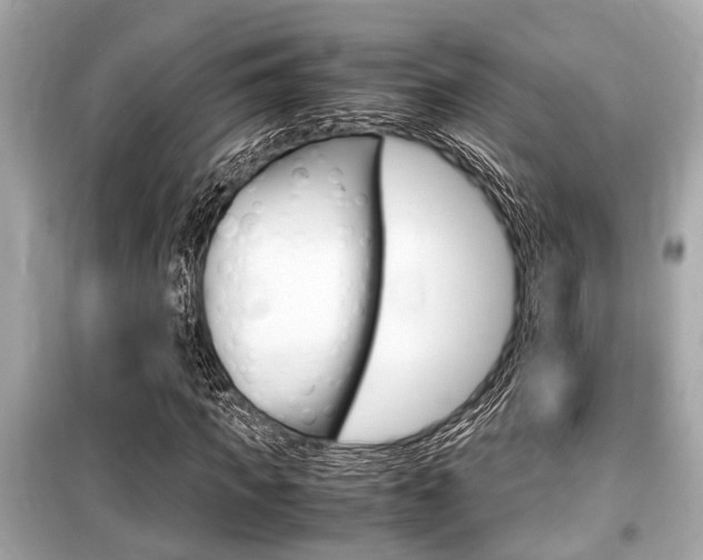 X0000099550917200805160723