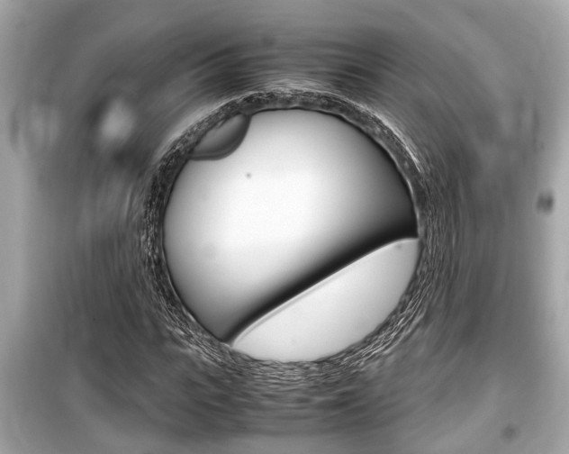 X0000099550919200805160723