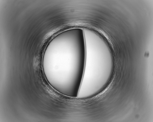 X0000099550922200805160723