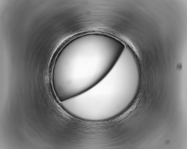 X0000099550924200805160723