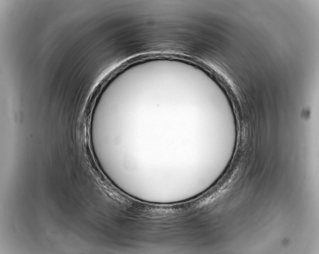 X0000099550925200805160723