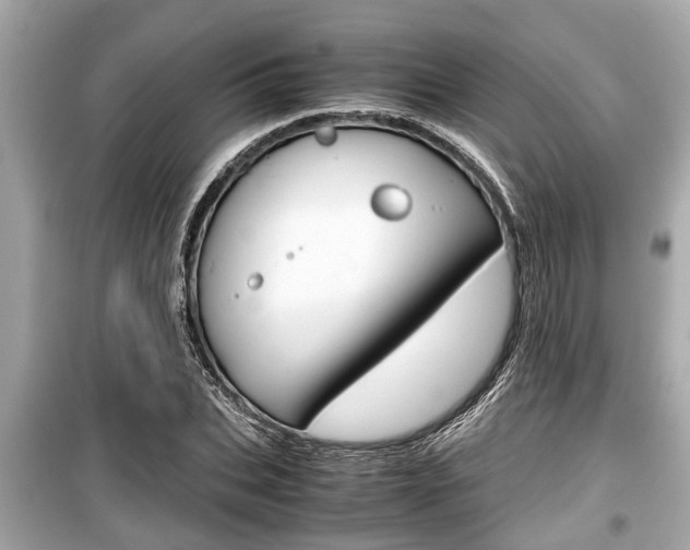 X0000099550927200805160723