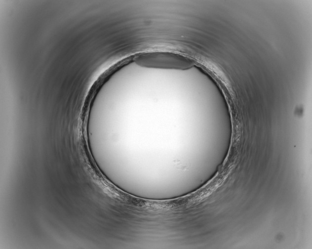 X0000099550928200805160723