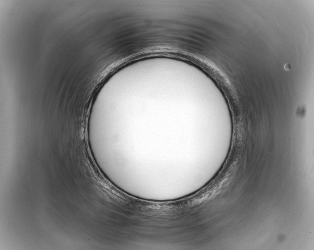 X0000099550929200805160723