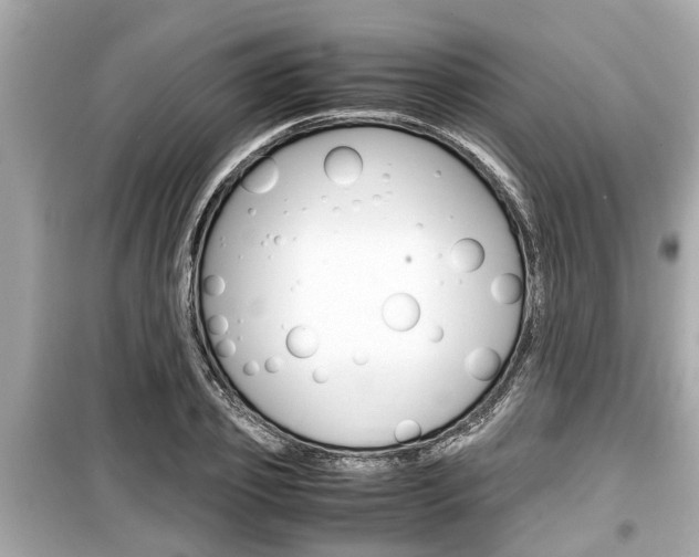X0000099550933200805160723
