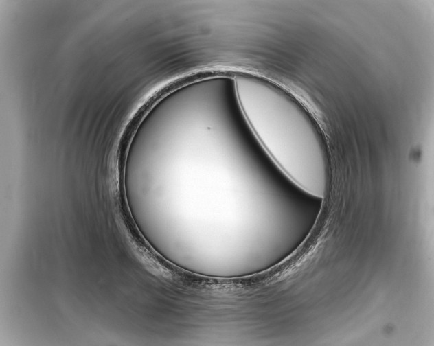 X0000099550934200805160723