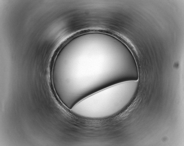 X0000099550935200805160723