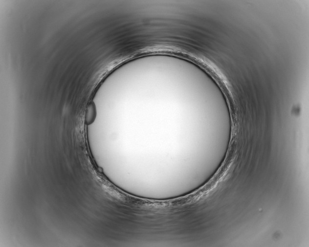 X0000099550937200805160723