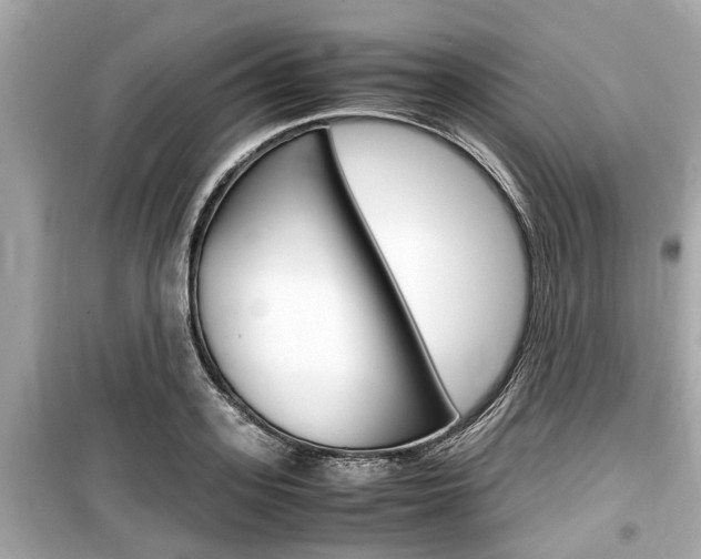 X0000099550939200805160723