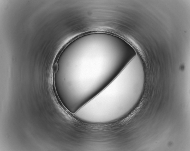 X0000099550940200805160723