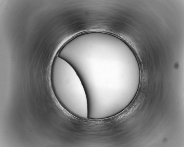 X0000099550941200805160723