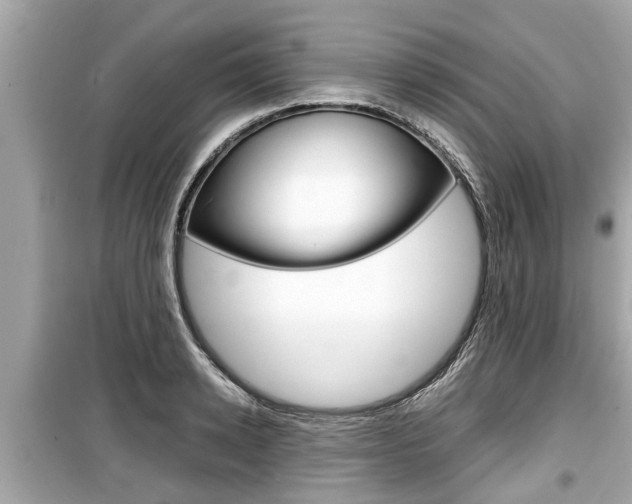 X0000099550942200805160723