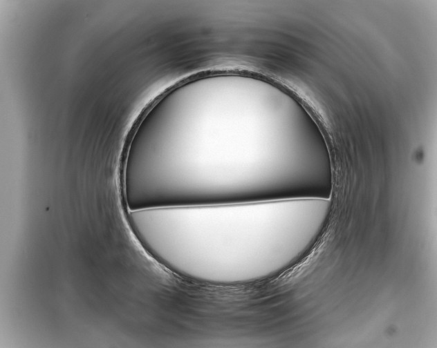 X0000099550943200805160723