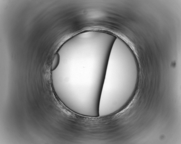 X0000099550945200805160723