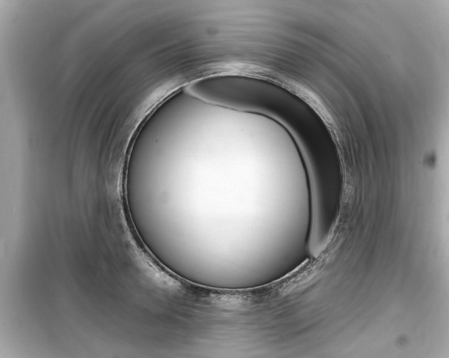 X0000099550946200805160723