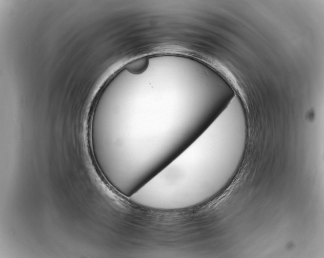 X0000099550947200805160723