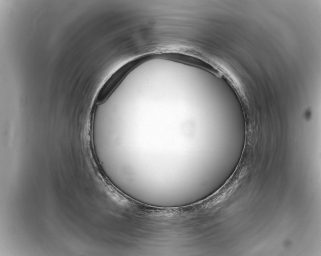 X0000099550948200805160723