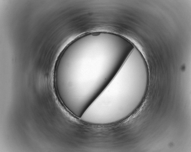 X0000099550949200805160723