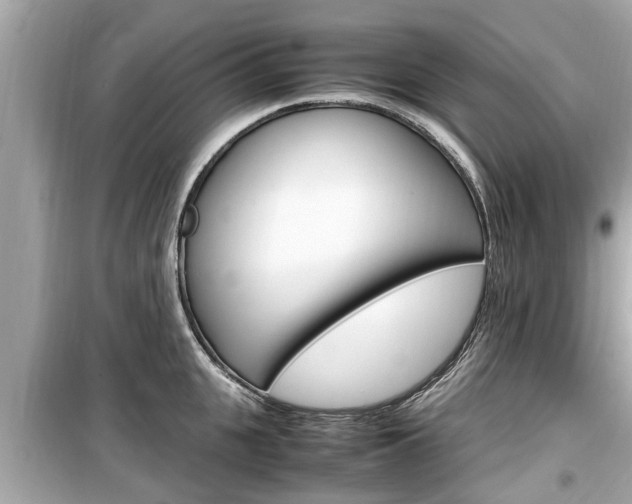 X0000099550951200805160723