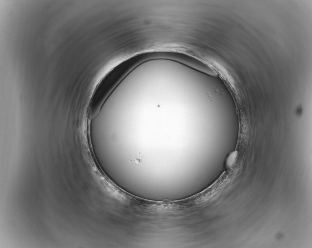 X0000099550952200805160723
