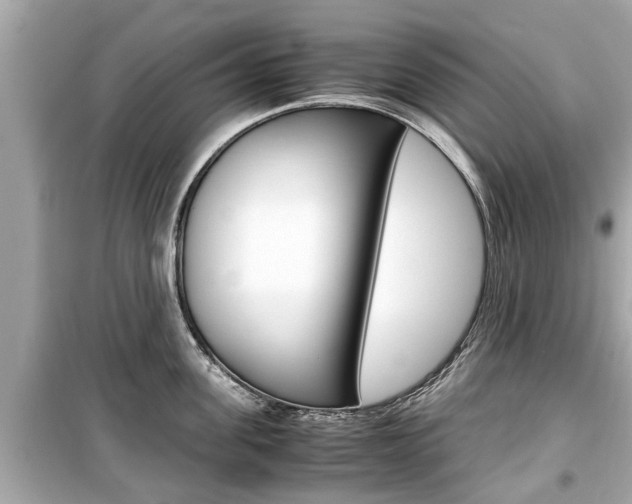 X0000099550955200805160723
