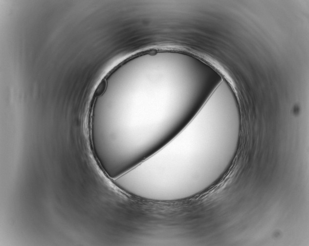 X0000099550959200805160723