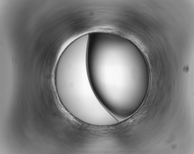X0000099550960200805160723