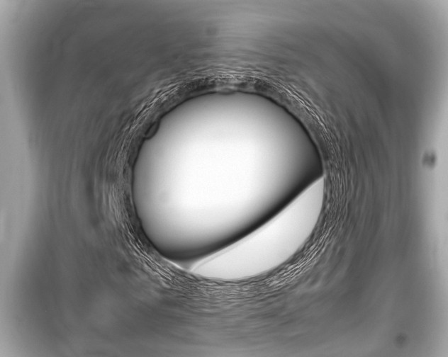 X0000099550961200805160722