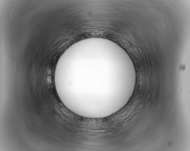 X0000099550962200805160722