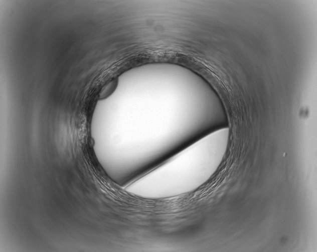X0000099550963200805160722