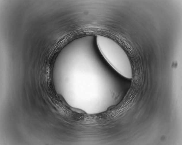 X0000099550964200805160722